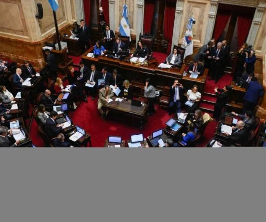 Bonos argentinos en dólares saltan por aprobación del Senado de 'Ley Bases' y swap con China