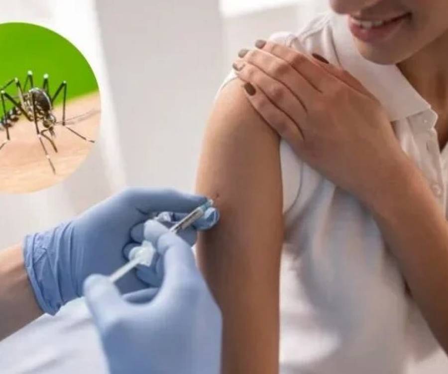 La provincia adquirió 20.000 dosis de vacunas contra el dengue
