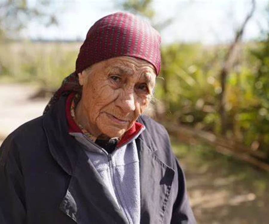 La pericia al celular de la abuela de Loan: 34 llamadas eliminadas y la extraña actividad que tuvo antes de la desaparición