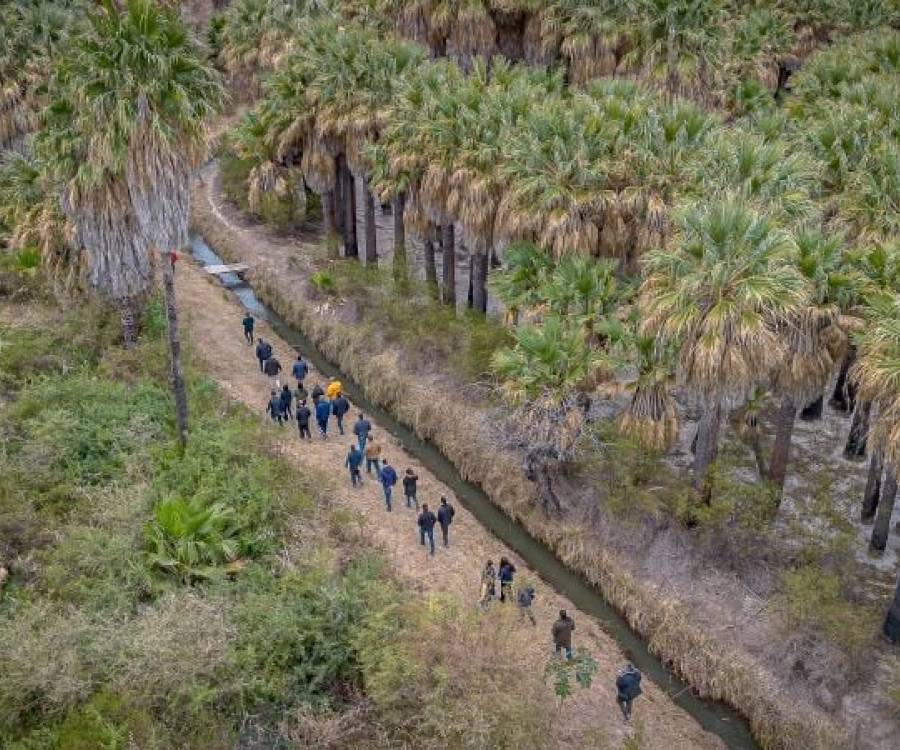 FME: reactivarán la obra del Parque Los Palmares