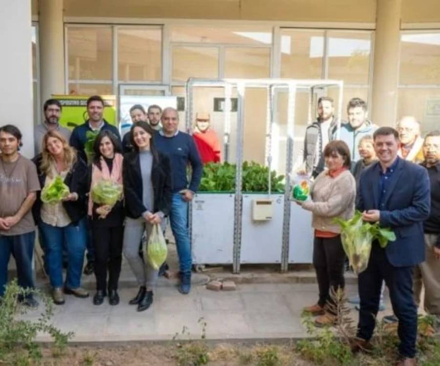 La hidroponía crece en el mercado del consumo local