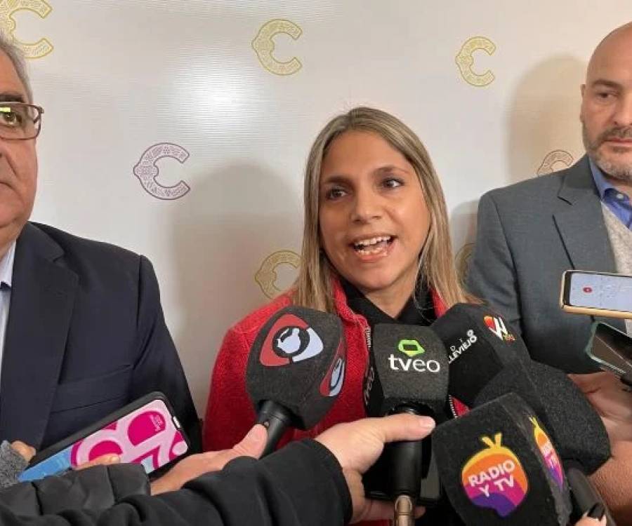 El Gobierno presentó la campaña de vacunación contra el dengue: “Las vacunas se compraron con recursos provinciales”