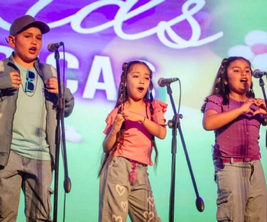 Artistas y delegaciones de toda Catamarca se lucieron en el Ponchito