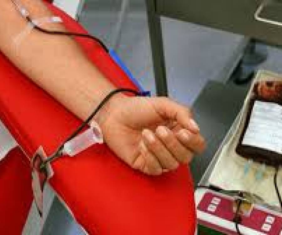 Colecta de Sangre e Inscripción al Registro de Células Madre: requisitos para donantes