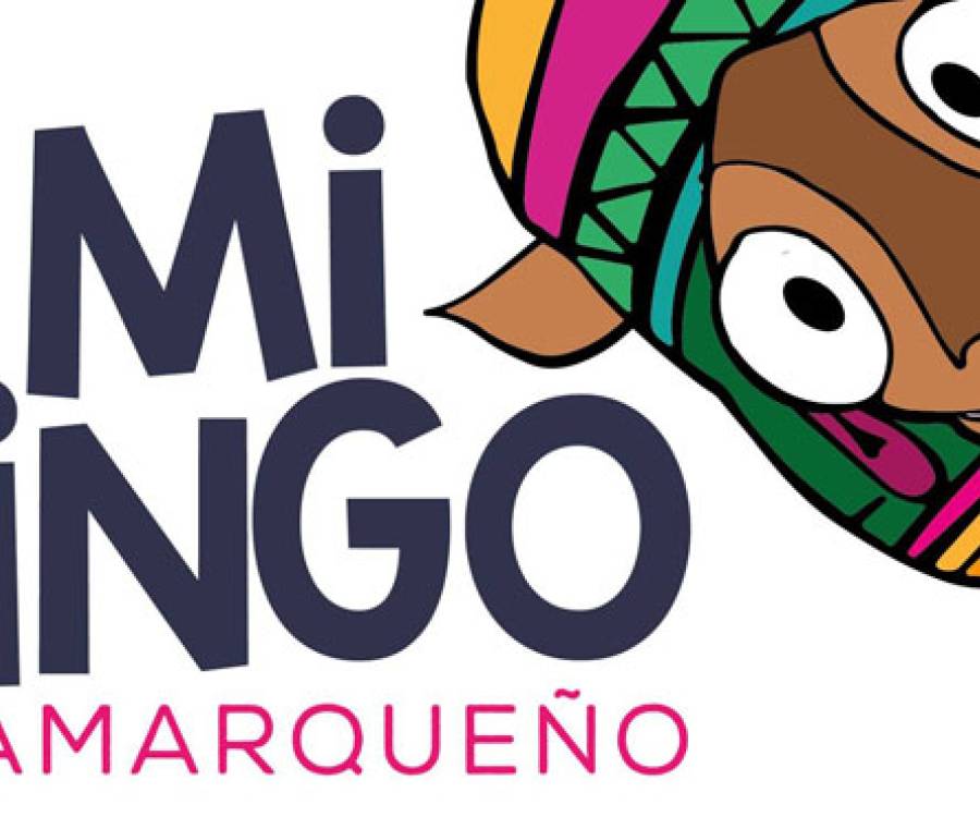 Mi Bingo Catamarqueño: los ganadores del sorteo anticipado con el número de cartón