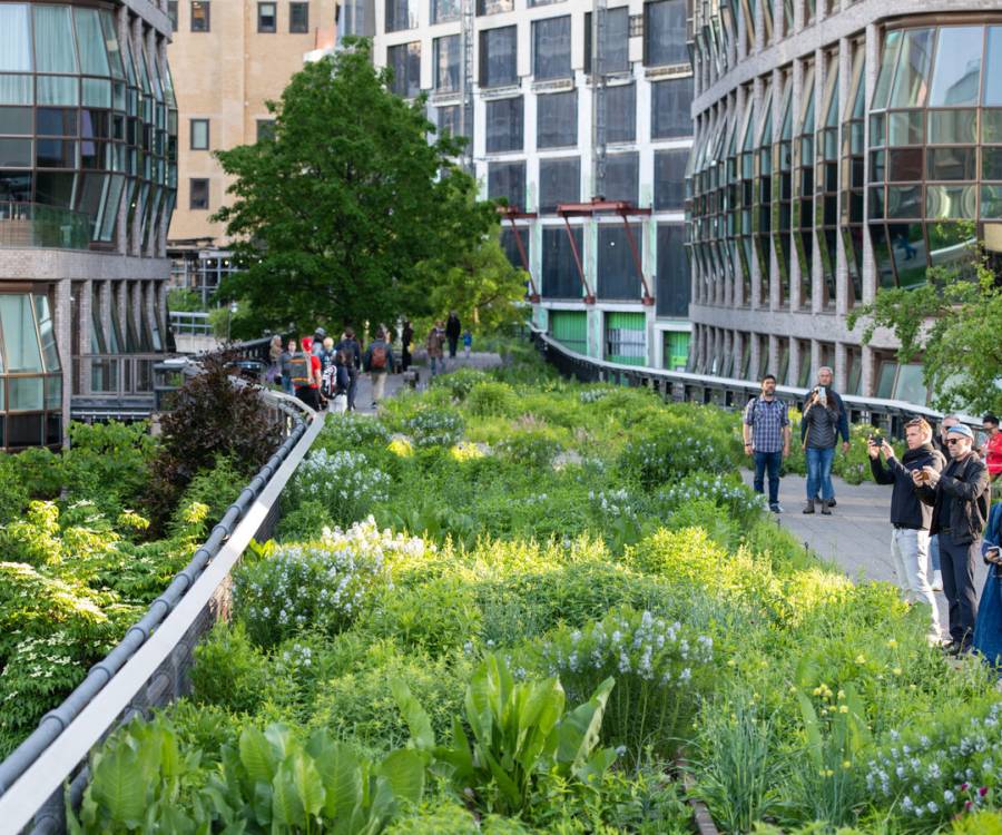 High Line: El parque suspendido sobre la ciudad de New York