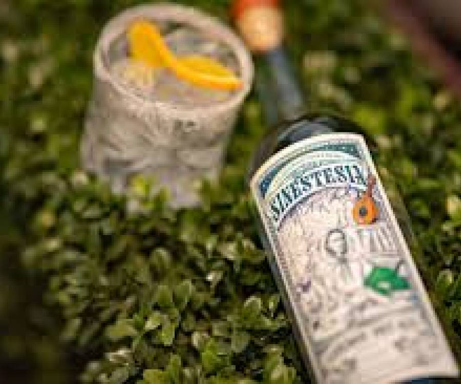 Tradición, tecnología y excelencia se combinan en un premiado gin argentino