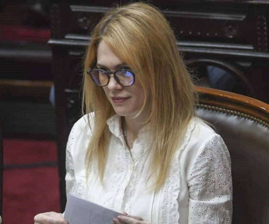 Acusaciones de Lilia Lemoine contra Villarruel