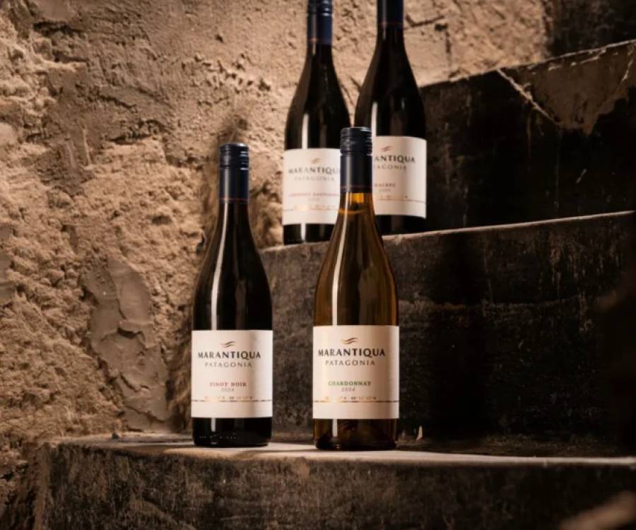 MARANTIQUA, la nueva línea de vinos premium de la Patagonia