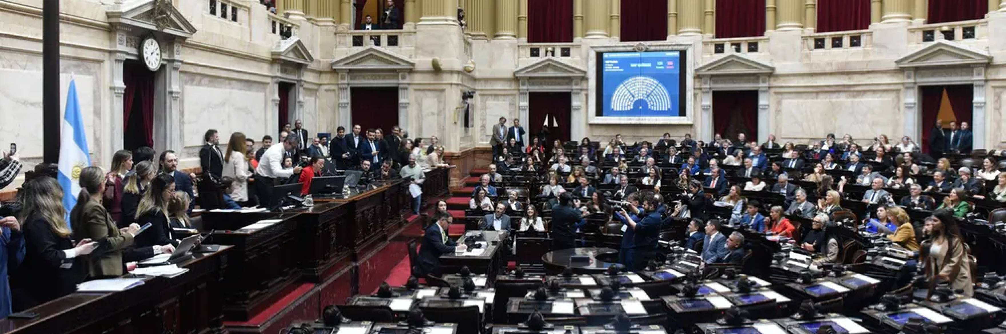 La oposición rechazó los vetos de Milei al financiamiento universitario y la emergencia pediátrica