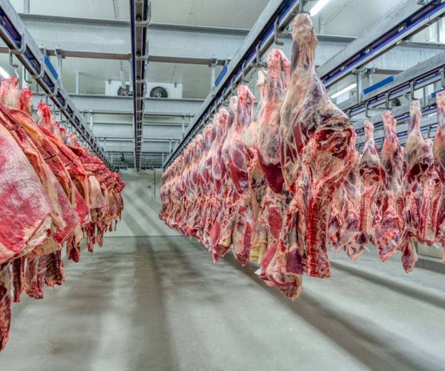 El Gobierno oficializó la quita de retenciones para la exportación de carnes avícolas y bovinas