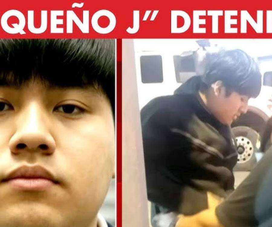 Detuvieron a 