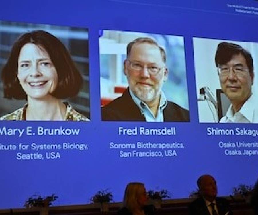 El premio Nobel de Medicina fue otorgado a Mary E. Brunkow, Fred Ramsdell y Shimon Sakaguchi