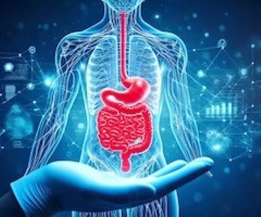 5 hierbas y especias que ayudan a mejorar la digestión