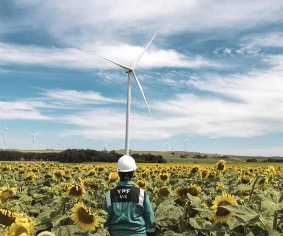 El negocio de alquilar campos para parques eólicos: un game changer para los productores del agro
