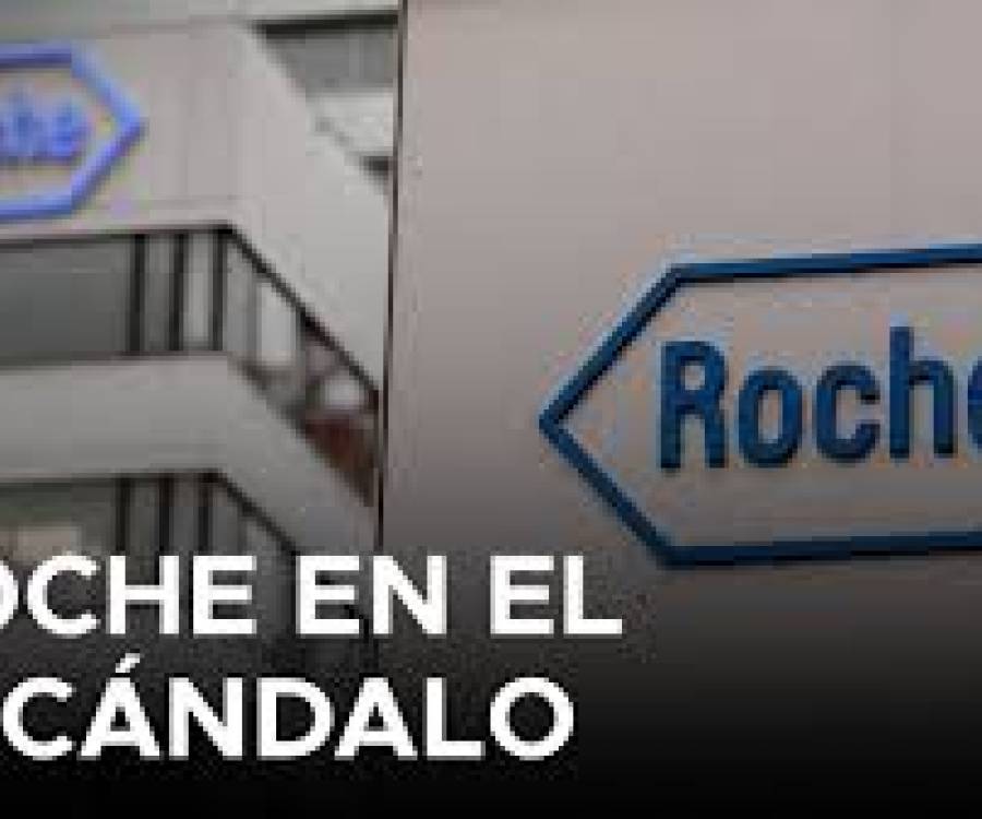 Roche se despegó del caso ANDIS