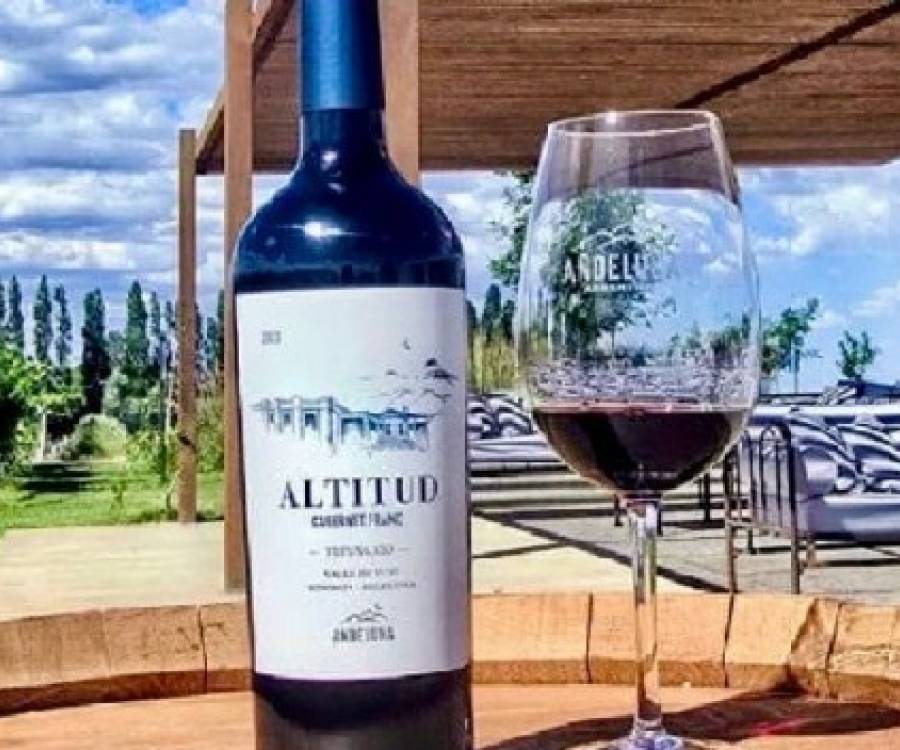 ANDELUNA ALTITUD CABERNET FRANC