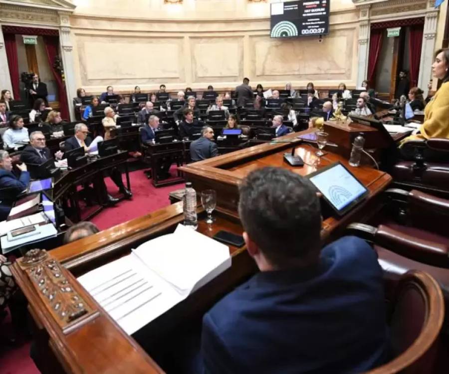 Presupuesto 2026: votos divididos de los senadores de Catamarca en una sesión clave del Senado