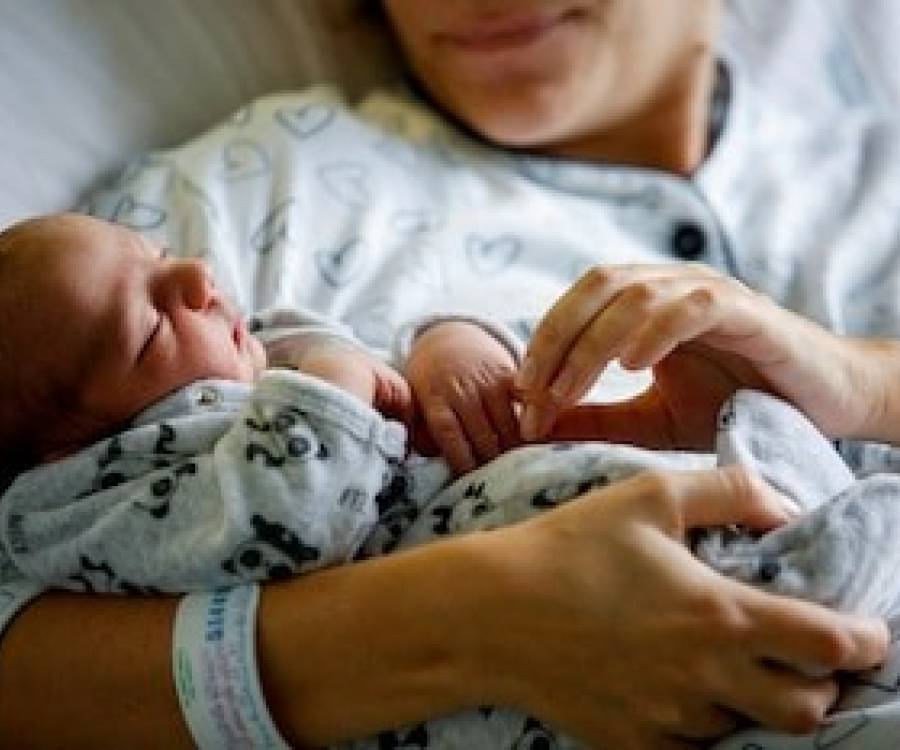 La tasa de natalidad cayó 40% en Argentina y los hogares sin hijos ya son mayoría