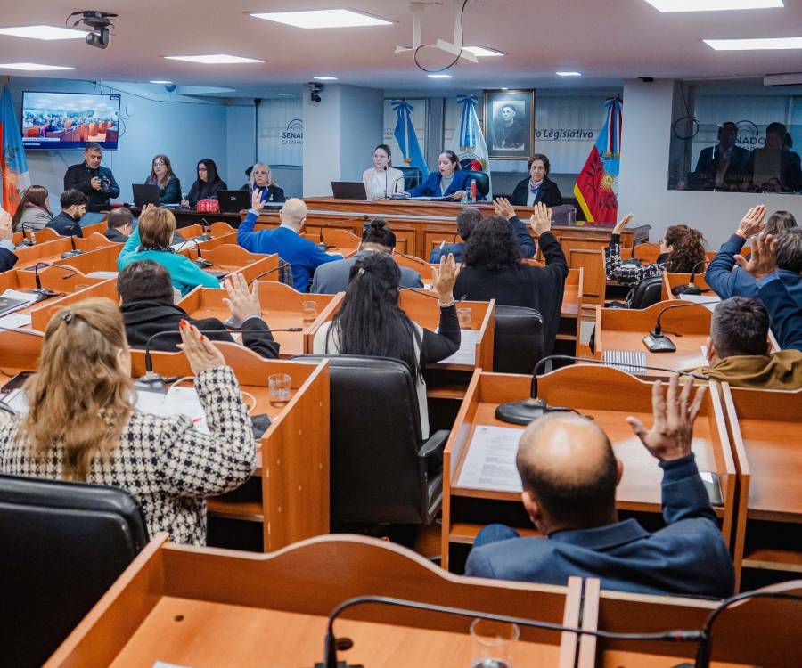 Defensor del Pueblo: los diputados oficialistas aprobaron los cambios en la sesión especial