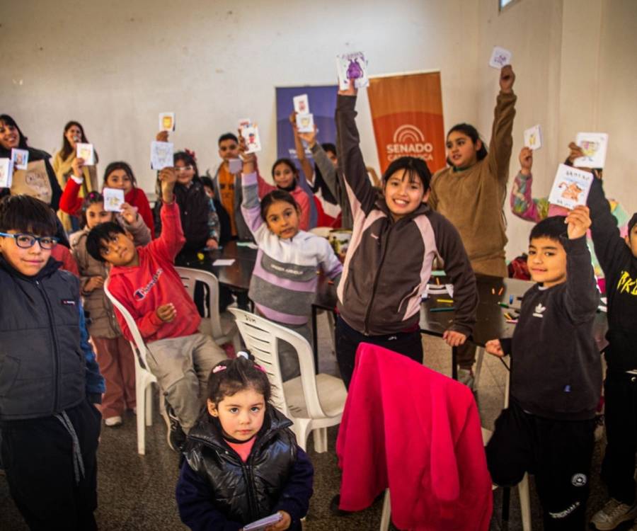 Senado: La Biblioteca Activa en los barrios