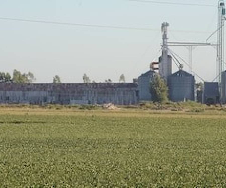 China compró harina de soja argentina por primera vez en la historia