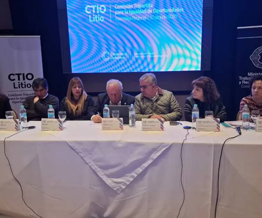 Catamarca es sede de una nueva jornada de la CTIO Litio
