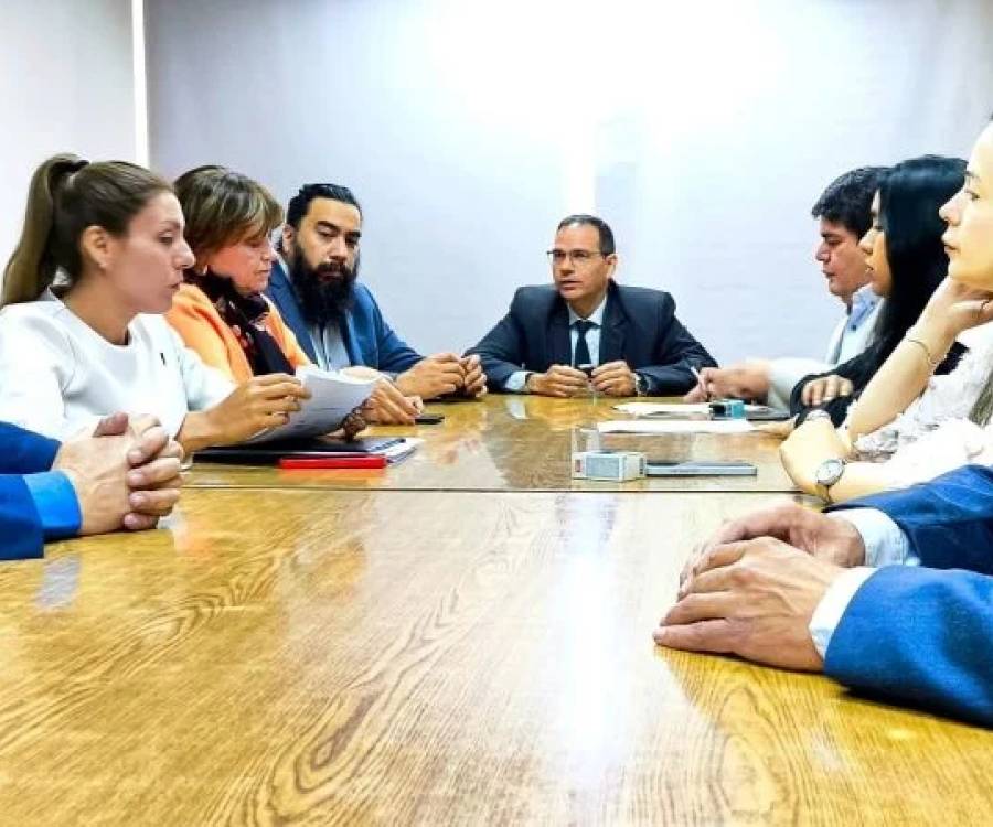 Presentaron amparo por las pensiones de discapacidad