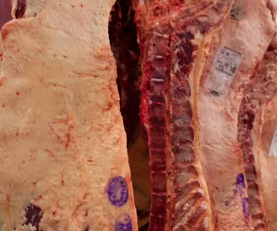 La Justicia suspende por 30 días el ingreso de carne con hueso a la Patagonia
