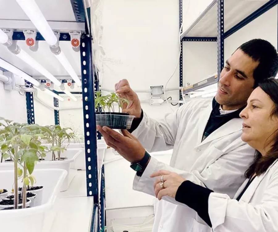 Investigadores del CONICET buscan desarrollar cervezas con propiedades beneficiosas para la salud