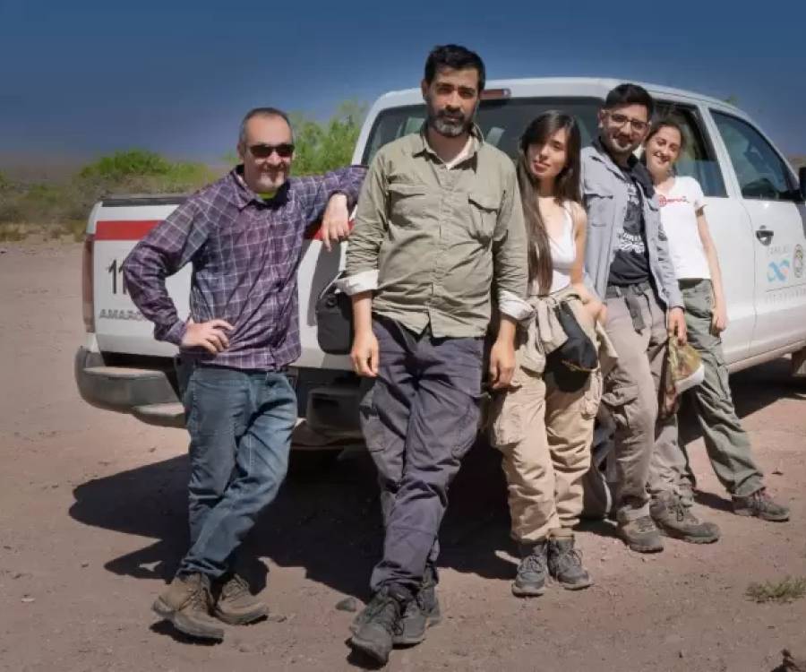 Encontraron un campo de petroglifos