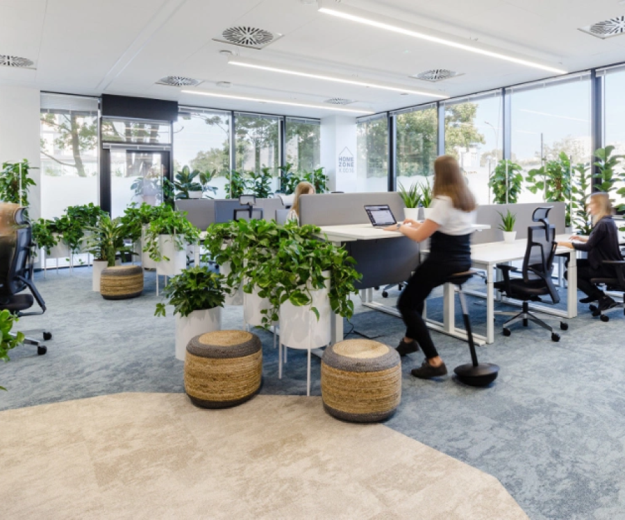 Plantas en la oficina: ¿Conoces todos sus beneficios?