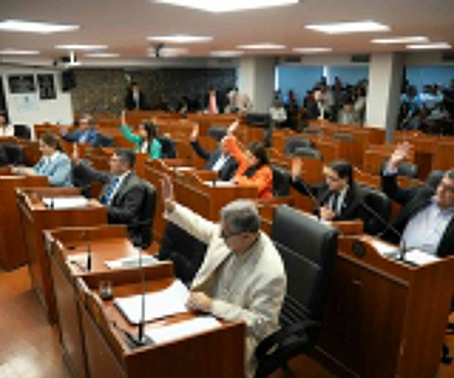 Senado: Media sanción a la Ley de Educación Emocional en Catamarca