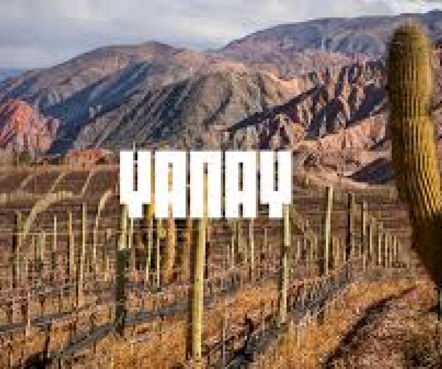 Yanay Tinto de Jujuy 2023 