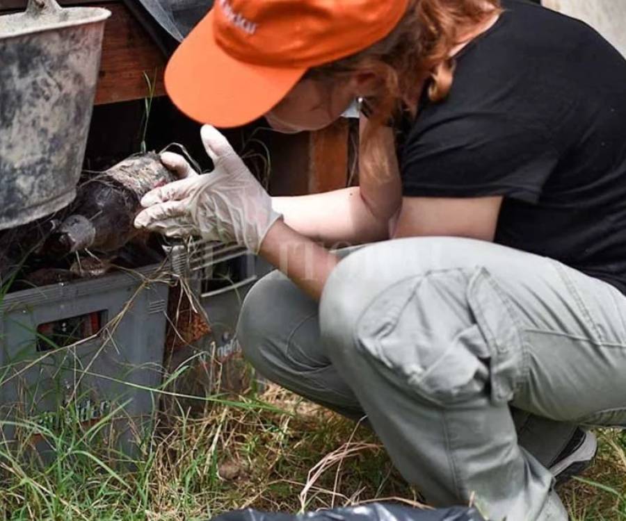 Prevención del dengue: lanzan una campaña provincial de descacharrado