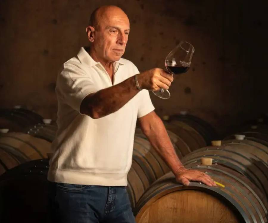 Tenía dos empresas exitosas, pero lo dejó todo para hacer vinos de alta gama en Mendoza