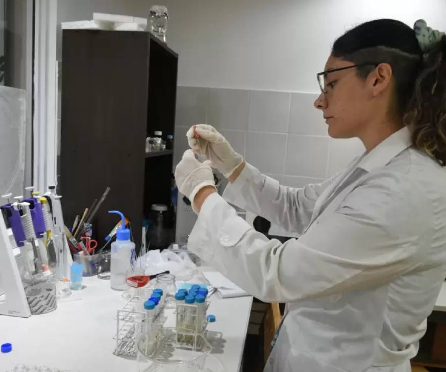 CONICET-UNCA Catamarca: científicos advierten por investigaciones sin presupuesto