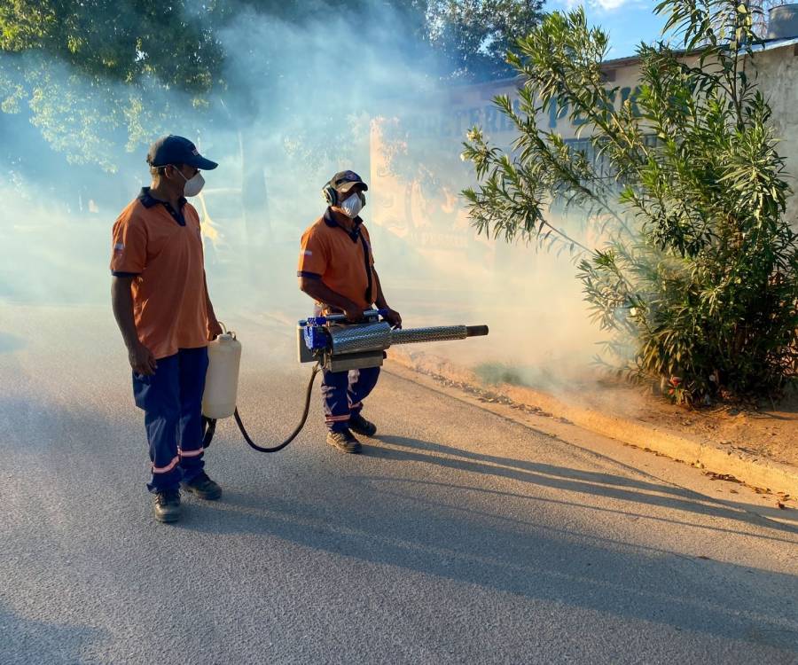 Chikungunya: los casos siguen en aumento