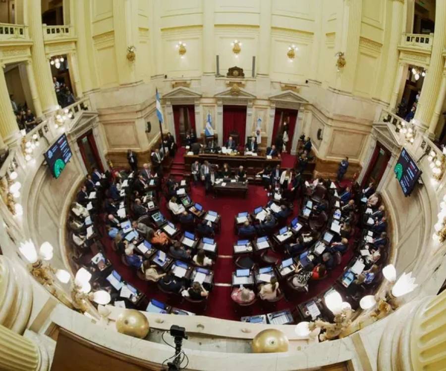 El Senado intenta avanzar en el dictamen  del proyecto de regularización de tenencia de armas