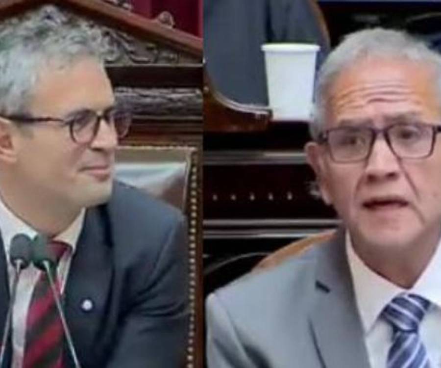“Therians que se autoperciben leones”: la insólita definición de un diputado durante la sesión de Adorni