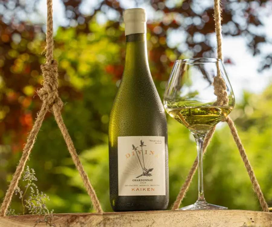 La revancha del Chardonnay: el renacer de la reina de las blancas
