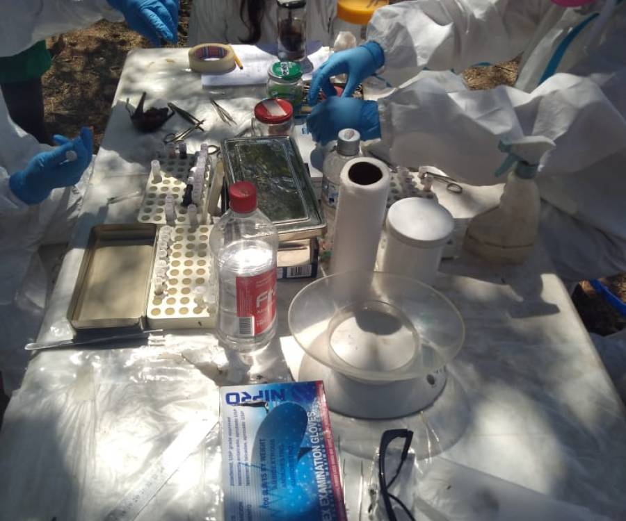 CONICET y Salud encabezan una investigación sobre Hantavirus en la provincia