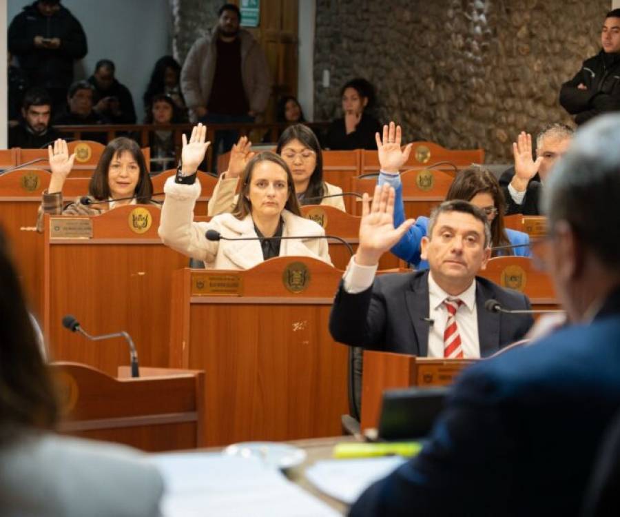El Senado dió media sanción a la transformación de CAMYEN y convirtió en ley al Newcom