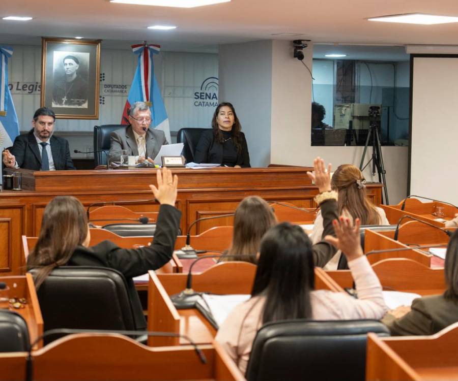 El Senado avanzó con iniciativas para fortalecer la salud y el desarrollo de Catamarca
