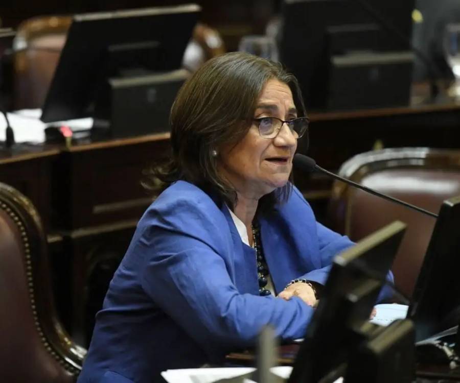 Corpacci advirtió que la reforma de la Ley de Tierras permite vender “un cuarto de una provincia” 
