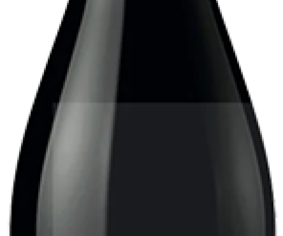 Coincidir Malbec 2023