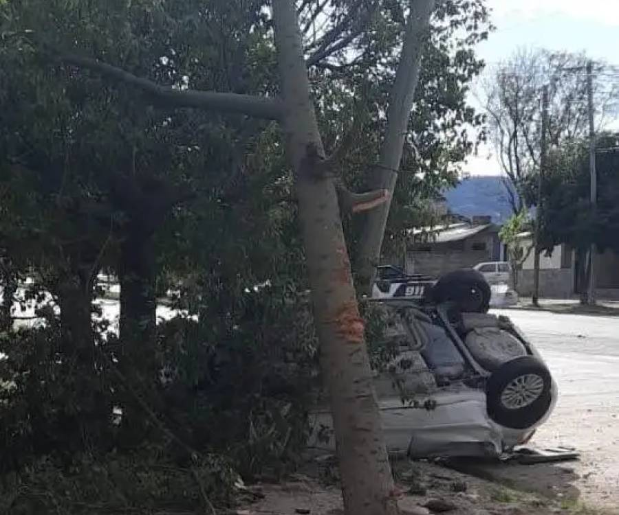 Automovilista colisionó contra una garita, un árbol, un poste y volcó