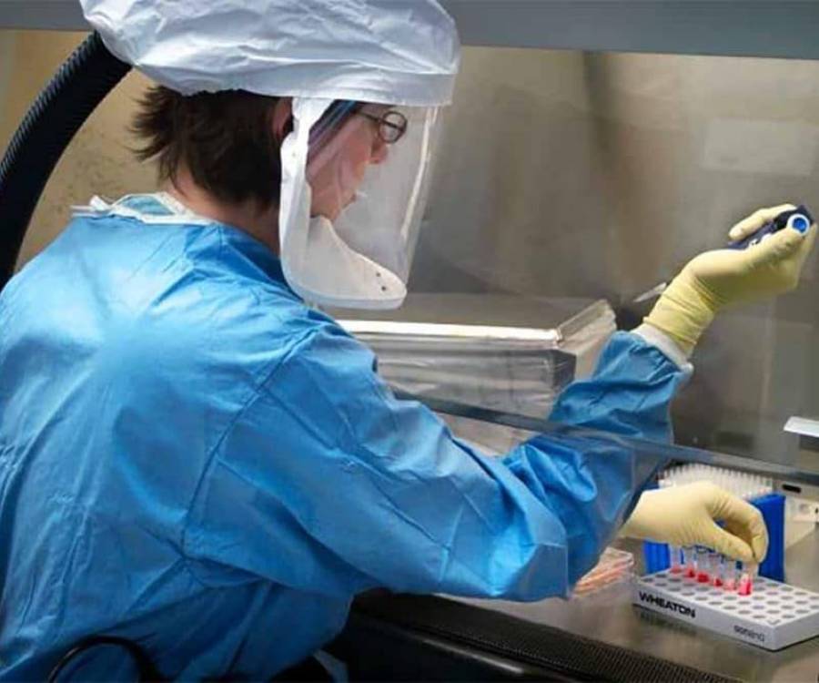 Detectan un nuevo virus transmitido por garrapatas que explicaría casos de fiebre sin diagnóstico