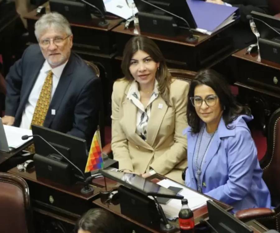 Salud Mental: el oficialismo consiguió las firmas y la reforma podría debatirse en el Senado